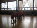 IMG_4531