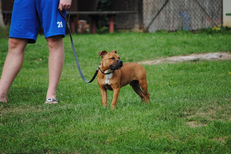 DSC_0081.JPG